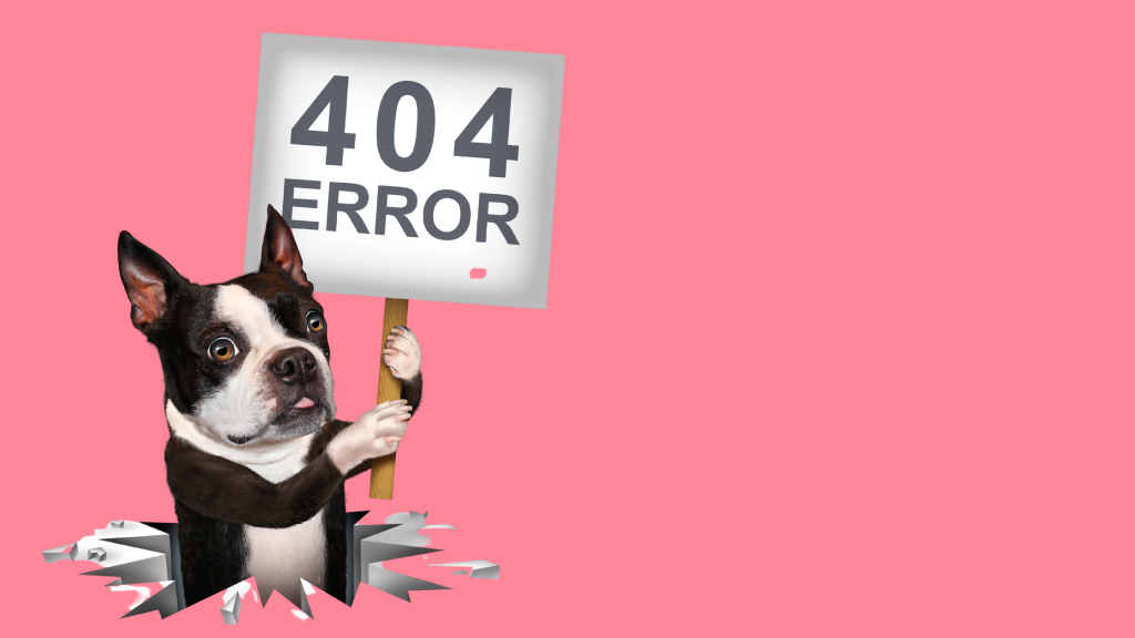 Fixing A WordPress 404 Error