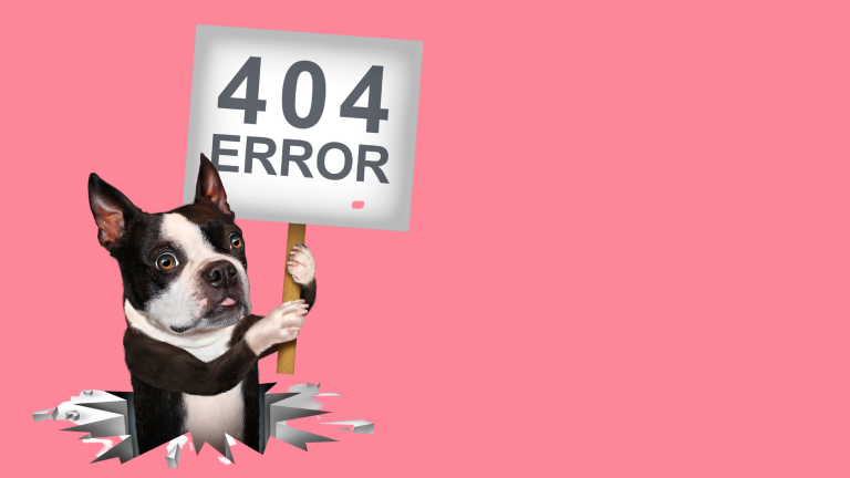 Fixing A WordPress 404 Error